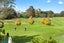 679C Hillsborough Road, Mount Roskill, Auckland - Carousel 20