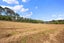 157 Barrett Road, Albany - Carousel 26