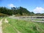 5591 Masterton Castlepoint Road, Masterton - Carousel 3