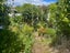 17A Brussels Street, Miramar, Wellington - Carousel 13