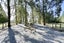 286B Isaac Road, Eyrewell, West Eyreton - Carousel 28