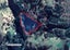 91 Bells Road, Takamatua, Akaroa - Carousel 5