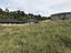 10 Cole Terrace, Kamo, Whangarei - Carousel 2