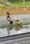 100 Paparamu Road, Piarere, South Waikato, Waikato - Carousel 28
