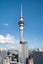 2405/74 Albert Street, City Centre, Auckland City, Auckland - Carousel 5