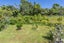 70 Saxton Road, Upper Vogeltown, New Plymouth - Carousel 24