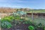 13 Mount Munro Road, Mauriceville - Carousel 31