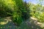 67A York Street, Picton, Picton - Carousel 45
