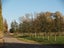 84A Voss Road, Christchurch - Carousel 3