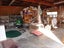 69 Oxford Street, Lansdowne, Masterton - Carousel 16
