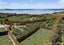 260 Athenree Road, Athenree, Katikati - Carousel 16