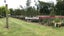 157 Wilkins Road, Tinwald, Ashburton - Carousel 19