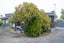 290 Cambridge Road, Hillcrest, Hamilton - Carousel 1