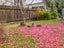 327 Riverside Drive, Waterloo, Lower Hutt - Carousel 20