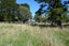 316 Wood Street, Woodside, Greytown - Carousel 13