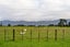 72 Battersea Road, Morison Bush, Greytown - Carousel 2