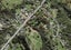 369 Upper Harbour Drive, Greenhithe, Auckland - Carousel 1