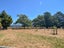 339 Watersons Line, Dalefield - Carousel 19