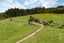 641 Ararimu Valley Road, Helensville - Carousel 17