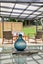 1/235 Rangatira Road, Beach Haven, Auckland - Carousel 13