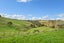201 Gomez Road, Hikurangi, Hikurangi - Carousel 16