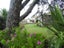 43 Purcell Street, Foxton, Foxton - Carousel 22