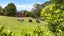 780 Island Block Road, Island Block - Carousel 26