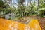 14 Manuka Road, Titirangi, Auckland - Carousel 15