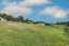 0 Hastings Street, Halcombe, Halcombe - Carousel 8