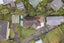 10 Tamahere Drive, Glenfield, Auckland - Carousel 19