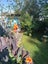 11 Challinor Street, Pakuranga, Auckland - Carousel 30