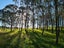 54 Hall Road, Matakohe - Carousel 17