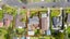 16 Booralee Avenue, Botany Downs, Auckland - Carousel 3
