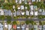 14 Fergusson Avenue, Sandringham, Auckland - Carousel 13