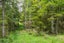 47 Witheford Road, Wharehine, Wellsford - Carousel 12