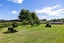 12H Coombes Road, Te Kowhai, Hamilton - Carousel 45