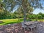 589 Ngunguru Road, Glenbervie, Whangarei - Carousel 39