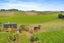 57 Talbot Road, Salisbury, Timaru - Carousel 34