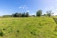 1944 Te Rahu Road, Te Awamutu, Te Awamutu - Carousel 6