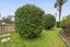 16A Wills Road, Katikati, Katikati - Carousel 18