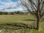 310C Porangahau Road, Waipukurau, Waipukurau - Carousel 5