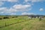 183A Gumtown Road, Kamo - Carousel 42
