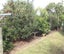 13B Whiritoa Beach Road, Whiritoa, Waihi - Carousel 3