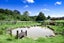 12 Mildon Road, Waitākere, Auckland - Carousel 47
