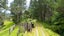 708 Waikino Road, Karetu, Kawakawa - Carousel 36
