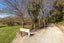 212A Howick Road, Witherlea, Blenheim - Carousel 22