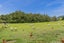 873 Whangaripo Valley Road, Whangaripo, Wellsford - Carousel 31