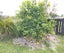 204A Philomel Road, Whangamata, Whangamatā - Carousel 10