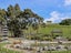 4 Grant Place, Witherlea, Blenheim - Carousel 22