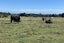 61 Mickell Road, Hautere - Carousel 5